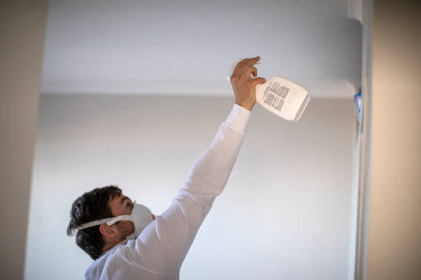 Best Commercial Mold Remediation in Hawthorne, CA